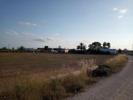Terreno Urbanizable En venta en Elche, Elche photo 0