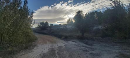 Finca R´ústica en Fuente del Pino, Monóvar photo 0