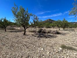 Oportunidad!!!! Venta de parcela con agua potable, ideal para construir casa rural en Monóvar photo 0