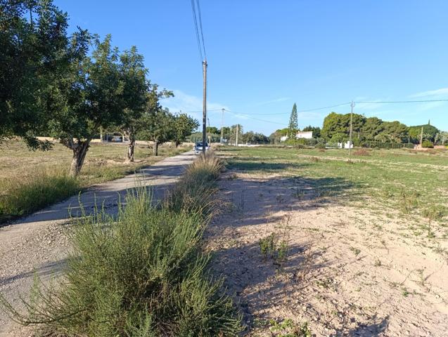 Parcela en venta a 300m de la crta Santa Pola photo 0