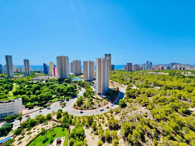 Magnífico Ático con Vistas Espectaculares en Benidorm photo 0