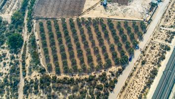 Terreno en Crevillente photo 0
