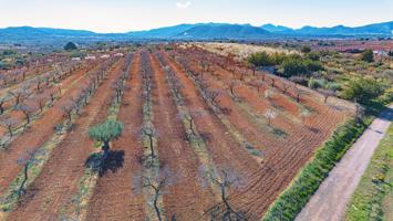 TERRENO URBANO con servicios. Vall d'Alba - Castellón photo 0