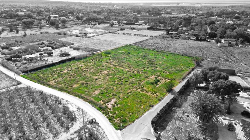 Terreno en Elche photo 0