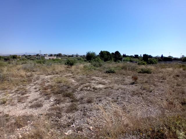 Terreno en Elche photo 0