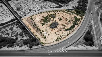 Terreno en Crevillente photo 0