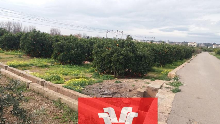 SE VENDE TERRENO RUSTICO EN MONCADA ECONÓMICO photo 0