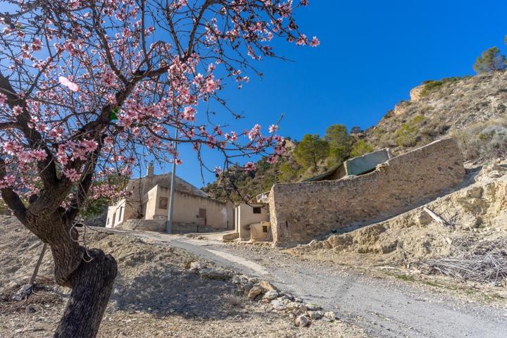 Casa de campo para reformar en el Valle de Ricote – Paraje Las Lomas photo 0