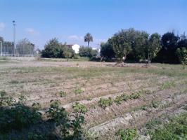 Oportunidad Única en la Huerta de Murcia! Finca con Terreno Rústico y Vivienda en Patiño photo 0