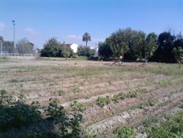 Oportunidad Única en la Huerta de Murcia! Finca con Terreno Rústico y Vivienda en Patiño photo 0