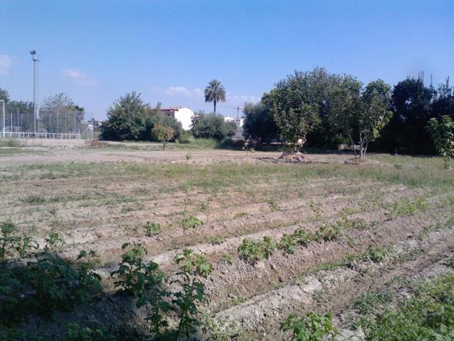 Oportunidad Única en la Huerta de Murcia! Finca con Terreno Rústico y Vivienda en Patiño photo 0