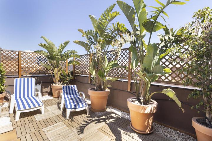 AGRADABLE VIVIENDA EN EL CABO DE LAS HUERTAS photo 0