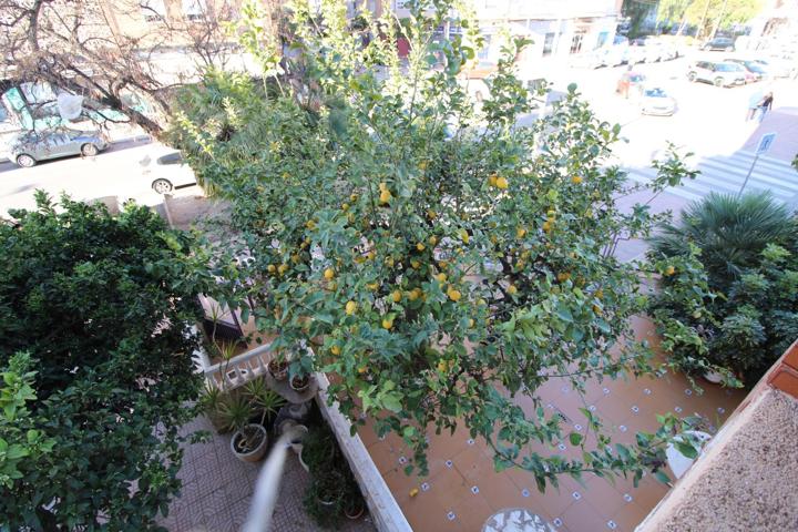 Piso En venta en Ciudad Jardin, Cartagena photo 0