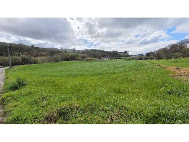 Terreno de 10.000m2 en Lugar de Figueiroa, Lousame, a 6 Km de Noya. photo 0
