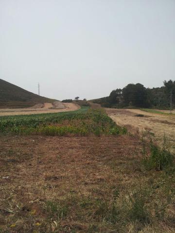 Terreno agrícola en La Esperanza - El Rosario - 9.009 m2 photo 0