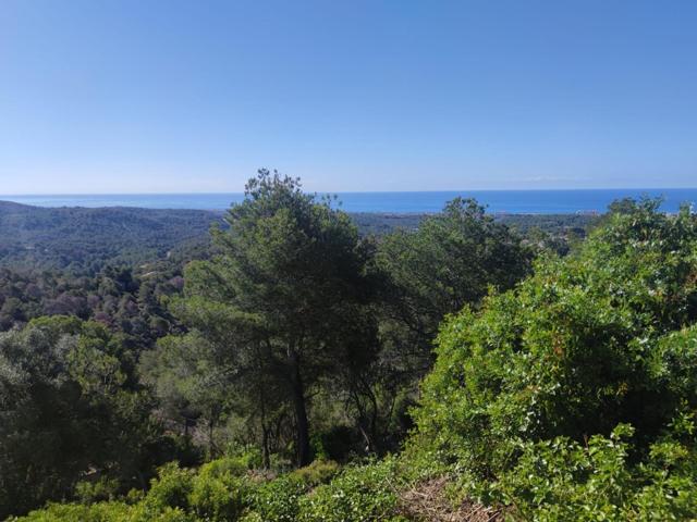 SE VENDE PARCELA EN CUNIT CON VISTAS AL MAR photo 0
