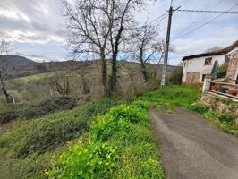 PARCELA CANGAS DE ONIS photo 0