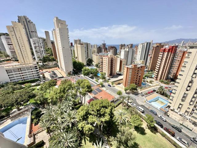 Piso Benidorm photo 0