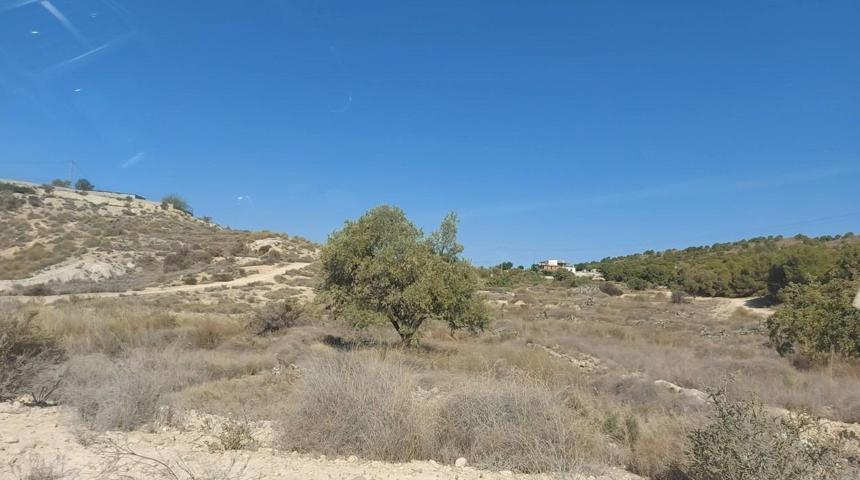 TERRENO EN LAS MONTAÑAS DE ELCHE PARA CONSTRUIR CASA DE ENSUEÑO photo 0
