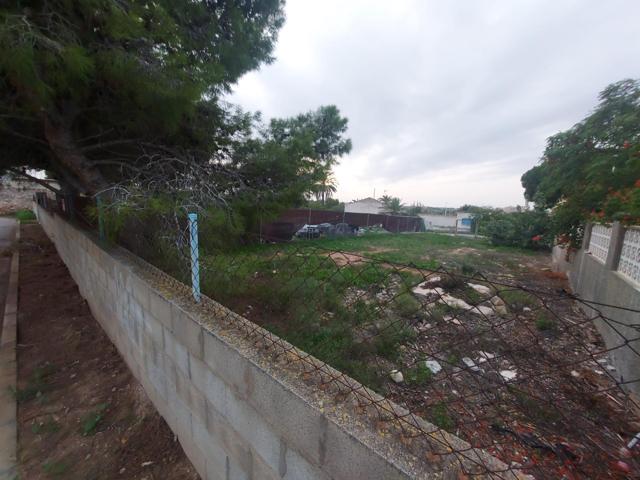 TERRENO EN ALTET photo 0