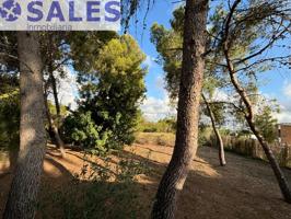 SE VENDE PARCELA EN SANTA APOLONIA, VEDAT DE TORRENT photo 0