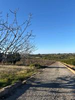 ¡TERRENO RURAL EN ALQUILER! 🌿 photo 0