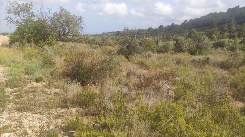 Terreno Urbanizable En venta en Corral Del Pitiquillo, Benicarlo photo 0