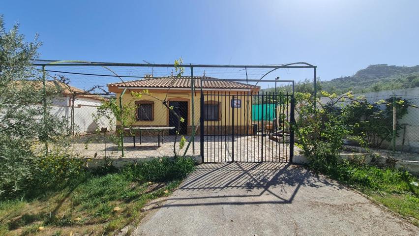 Finca en Güevéjar, AGUA potable y luz eléctrica y DOS pozos, piscina, cultivo de olivos. photo 0