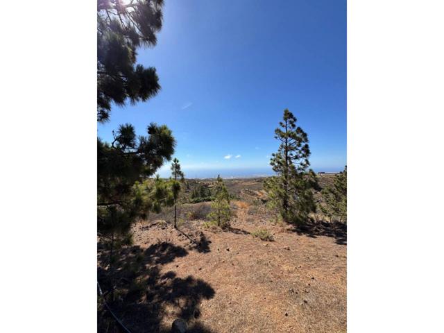 Terreno en Venta 3 245m² – Arico, Tenerife photo 0