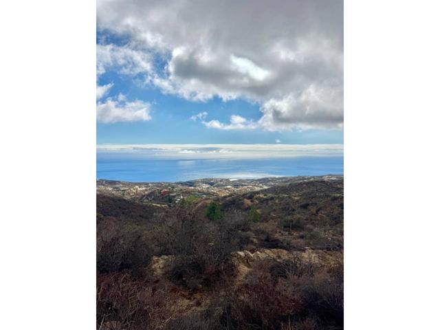 Terreno rústico 4568 M2 con vistas al mar en El Escobonal (Güímar, Tenerife) photo 0