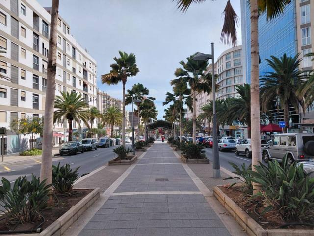 ALQUILO piso, centro de Santa Cruz de Tenerife, Avenida Tres de Mayo photo 0