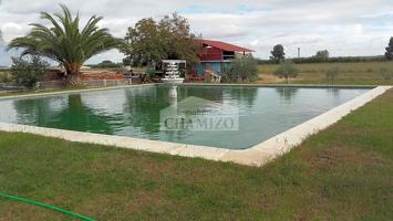 CHALET EN ZONA DE REGADIO CON LUZ Y UNA GRAN PISCINA photo 0