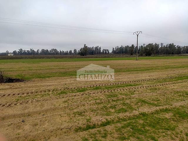 FINCA RUSTICA DE REGADIO photo 0