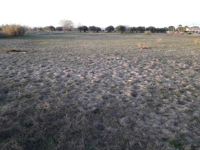 Finca Rústica en venta en Villanueva de la Serena de 9800 m2 photo 0