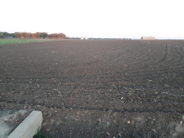 Finca Rústica en venta en Villanueva de la Serena de 6200 m2 photo 0