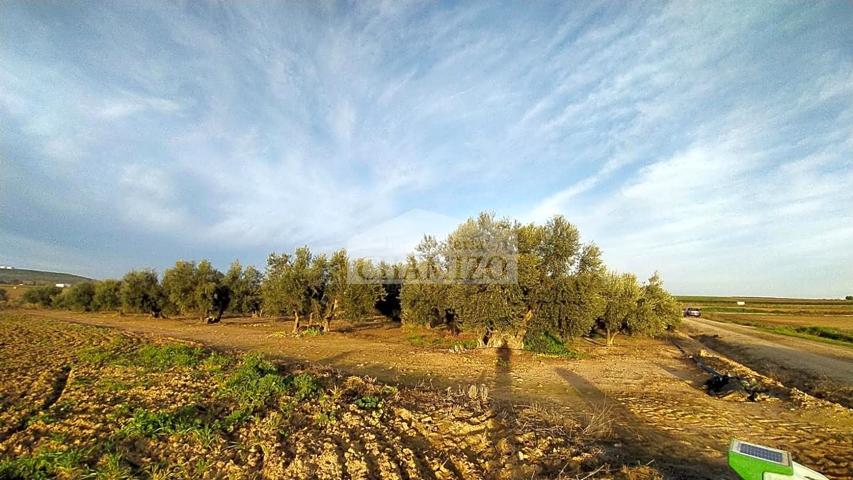 Terreno en venta en Villanueva de la Serena de 2780 m2 photo 0