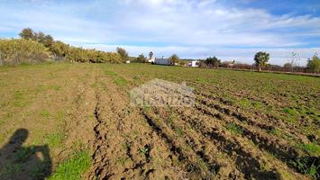 Terreno en venta en Villanueva de la Serena de 3656 m2 photo 0