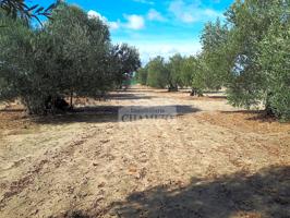 Finca Rústica en venta en Villanueva de la Serena de 1770 m2 photo 0