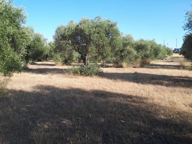 Terreno en venta en Villanueva de la Serena de 2400 m2 photo 0