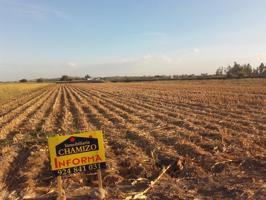 Terreno en venta en Villanueva de la Serena de 28000 m2 photo 0