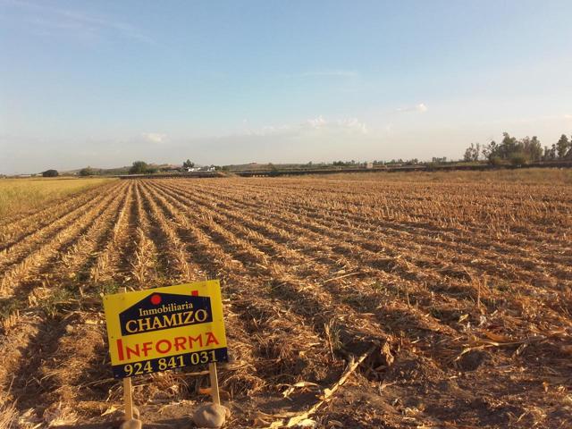 Terreno en venta en Villanueva de la Serena de 28000 m2 photo 0