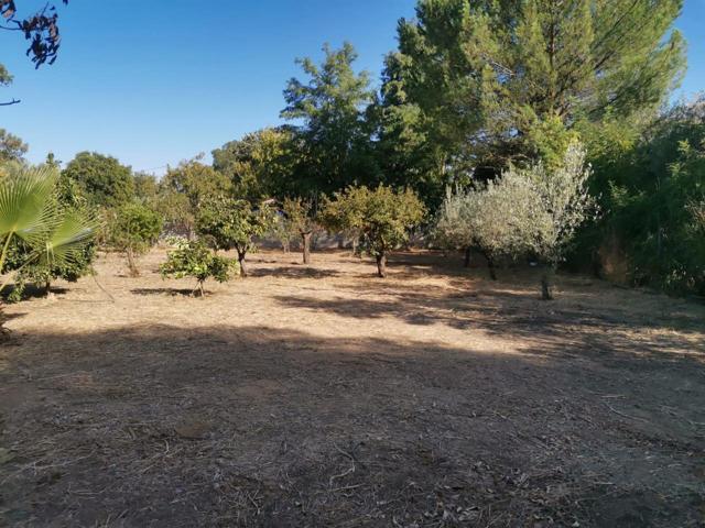 TERRENO DE REGADIO IDEAL PARA LA CONSTRUCCION DE SU CHALET photo 0