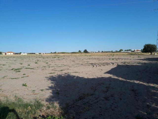 TERRENO EN ZONA DE SECANO IDEAL PARA CONSTRUIR SU CHALET photo 0
