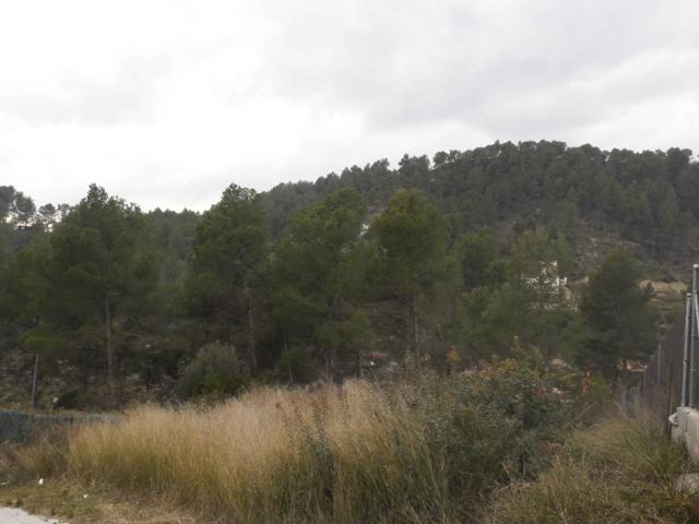 PARCELA EN VENTA EN MAS PLANOI photo 0