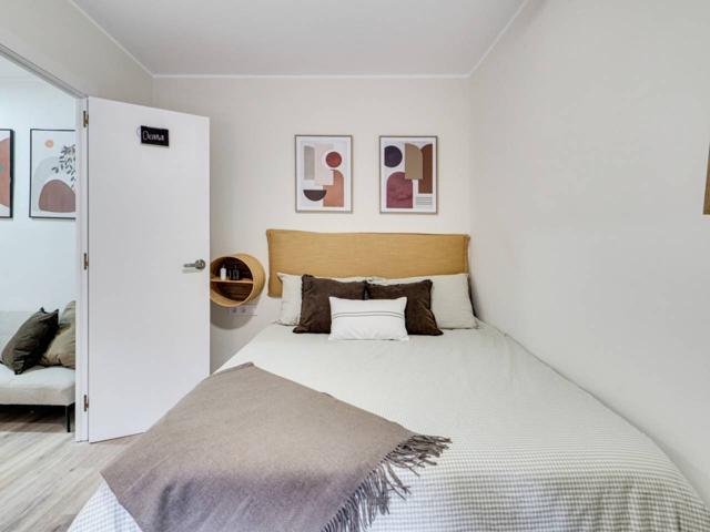 OKINAWA ROOM photo 0