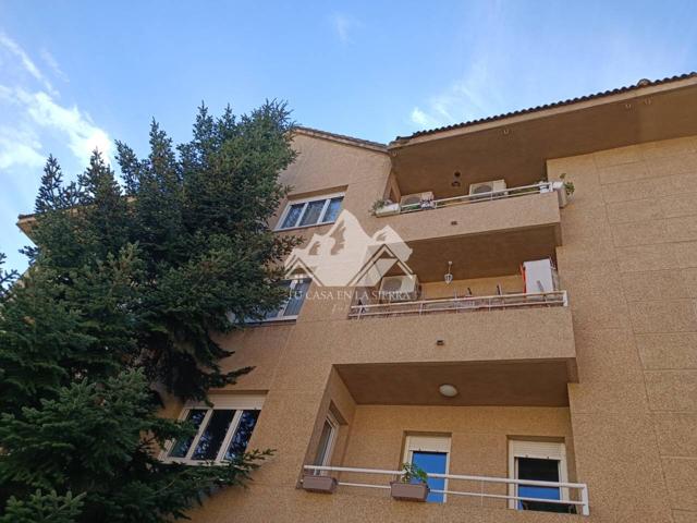 El piso soleado y bien cuidado que andabas buscando photo 0