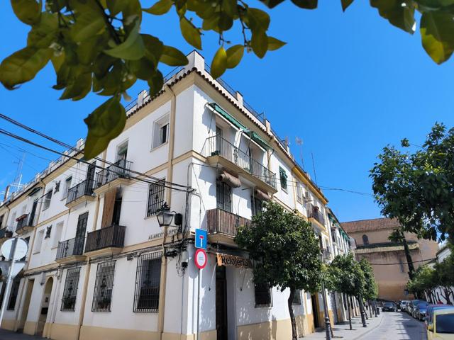 Coqueto apartamento con 2 balcones y con bonitas vistas en pleno centro histórico (Santa Marina- Ollerías) photo 0