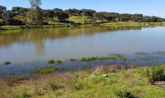 Dehesa 207 ha legalizada con cortijo, instalaciones ganaderas y múltiples posibilidades de desarrollo photo 0