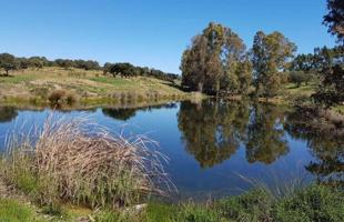 🌿 Finca rústica de 207 hectáreas en el Andévalo (Huelva) – Dehesa legal, cortijo e instalaciones ganaderas photo 0