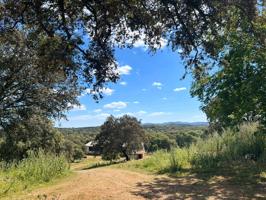 Dehesa Ganadera y Coto de Caza en la Sierra Norte de Sevilla photo 0